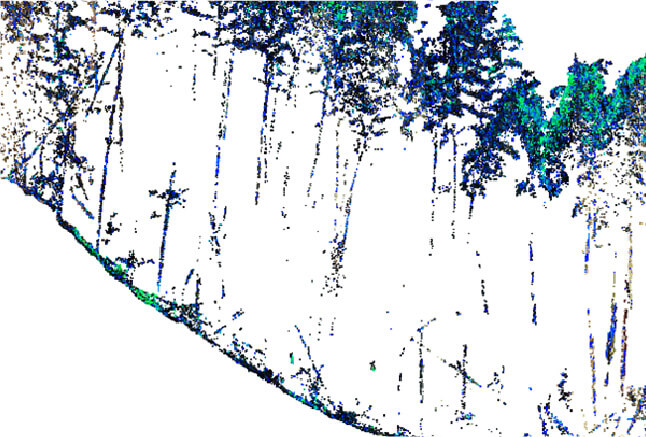 森林GISや森林クラウドへの利活用