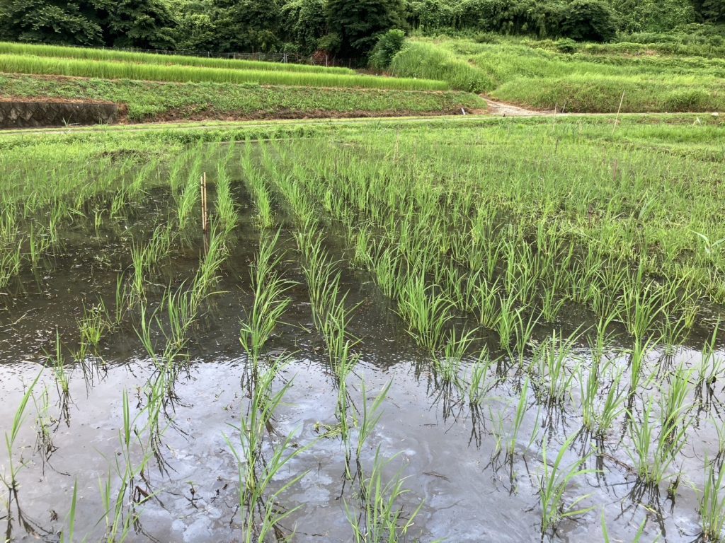 折り返し