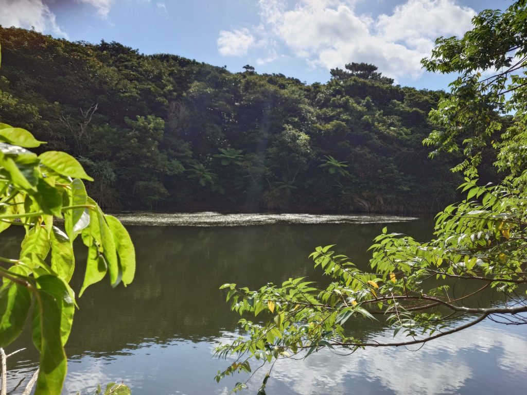 小笠原村測量記その16「距離標設置、深浅測量」